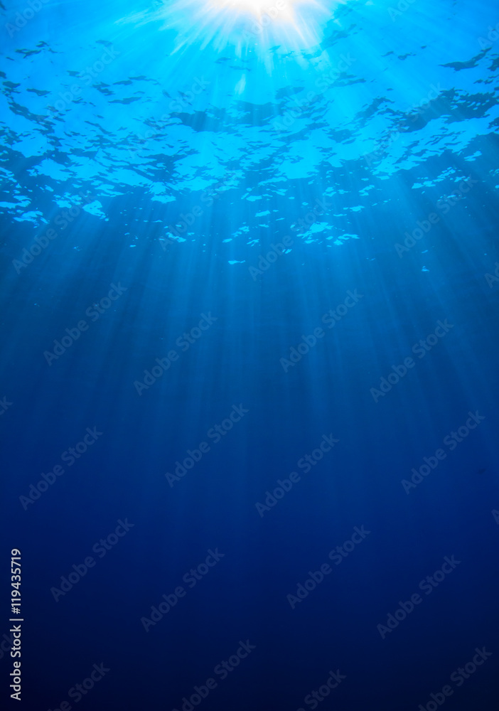 Canvas Prints Underwater blue background in sea