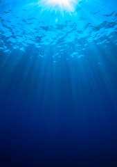 Fototapeta na wymiar Underwater blue background in sea