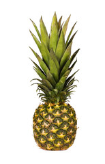 Fototapeta premium Ripe whole pineapple isolated on white