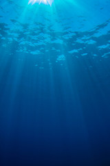 Fototapeta na wymiar Underwater blue background in sea
