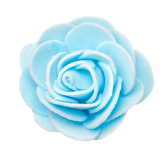 flower head isolated, beautiful decoration,top view