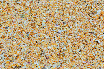 Shell beaches on the Black Sea coast.