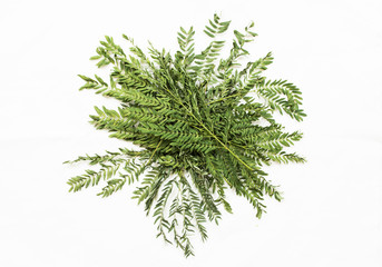 Patterns with leaves on white background, top view.