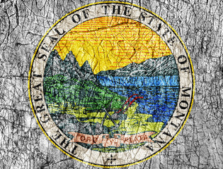 Grudge stone painted US Montana seal flag