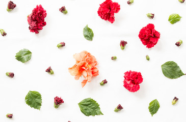 Red flower and leaf background