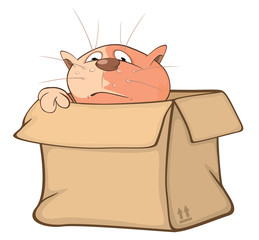 Illustration of a Cute Cat and a Box. Cartoon Character
