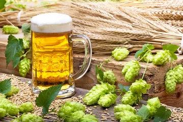 Foto auf Acrylglas glass of beer with hops and raw material for beer production © Václav Mach