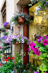 Fototapeta na wymiar Potted plants in the street of Volterra