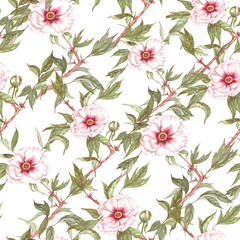 Hand drawn watercolor seamless pattern with white peony tree flowers and leaves