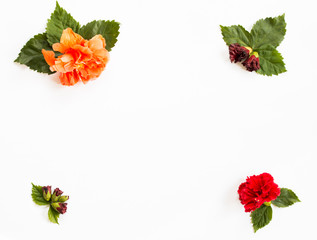 Decorate red flower and leaf isolate on white background