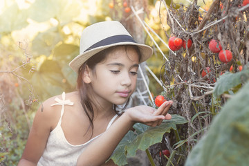 Harvesting seasons