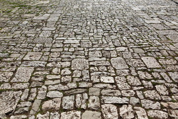 Old cobblestone pavement with moss growing between stones