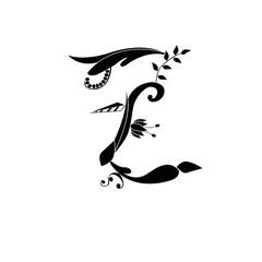 letter Z font in floral black and white