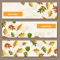 Banners set of autumn leaves vector illustration. Background with hand drawn autumn leaves. Design elements. Autumn leaves fall on banner.