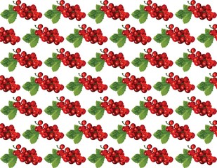 Cranberries Vintage pattern Vector. Watercolor painting. Red berry, green colors