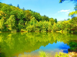 Lake with reflection and deciduous forest in wild nature during beautiful sunny day
