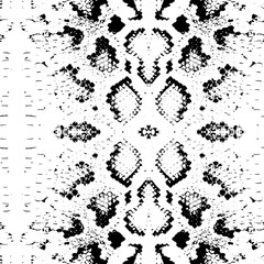  Seamless pattern Snake skin texture. black on white background. Vector