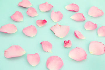Falling petals of a pink rose