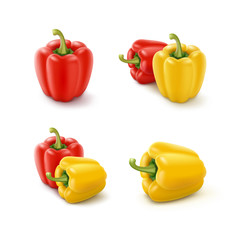 Set of Colored Bulgarian Bell Peppers, Paprika Isolated on Background