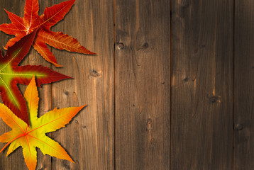 Naklejka na ściany i meble autumn colors