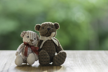 Couple Teddy Bears  on wooden table.