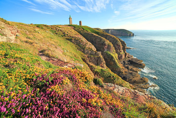 Cap Fréhel, Bretagne