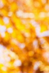 blurred abstract autumn background