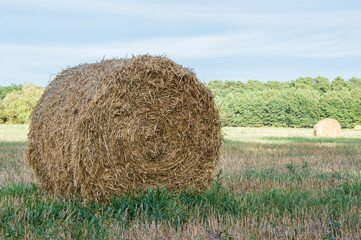 Stack of hay