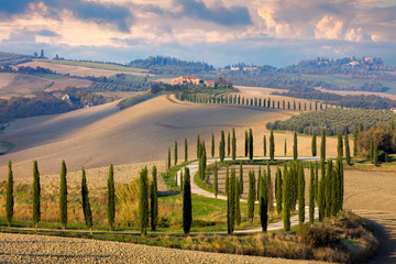 Landscape of Tuscany nature, rural Italy