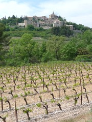Fototapeta na wymiar View of hilltop village of Crillon-le-Brave, Provence with vineyard in the foreground