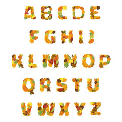 Autumn Leaves font. Vector illustration.