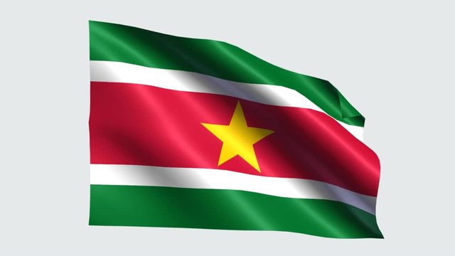Suriname flag with transparent background
