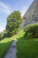 Fototapeta na wymiar Alee in Tallinn Medieval Town