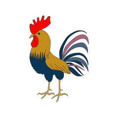 Bright cockerel on a white background. A lovely illustration of a rooster in hand drawn style.