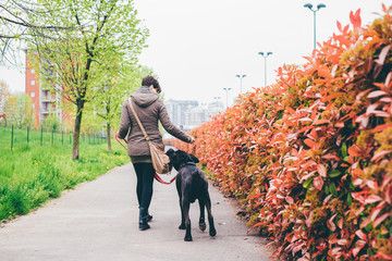 Back view of young caucasian woman walking outdoor in a city park with her dog on a leash -...