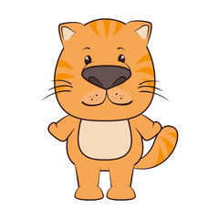 cat animal cartoon