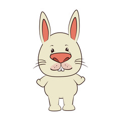 Obraz na płótnie Canvas rabbit bunny animal cartoon