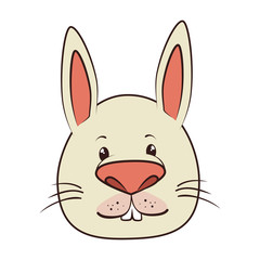 rabbit bunny animal cartoon