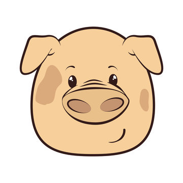 pig animal cartoon