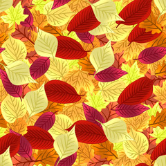 Fototapeta na wymiar Autumn leaves seamless pattern. Vector background