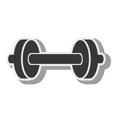 dumbbells weights equipment