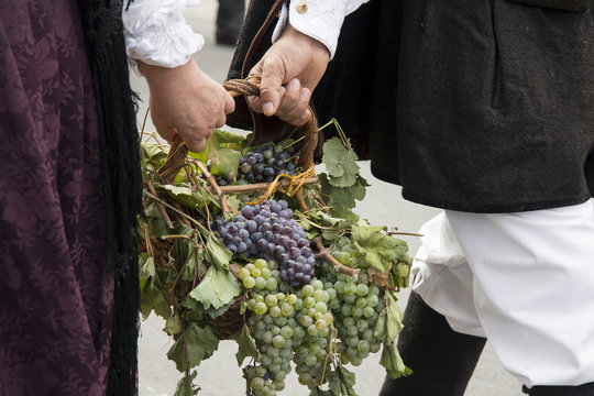QUARTU S.E., ITALIA - SETTEMBRE 15, 2013: Sagra dell'uva, in onore dei festeggiamenti di Sant'Elena - Sardegna -cesto di una tenuto in mano da una coppia in costume sardo