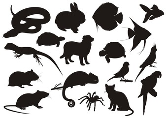 Pets silhouette vector set © profesja_bielsko
