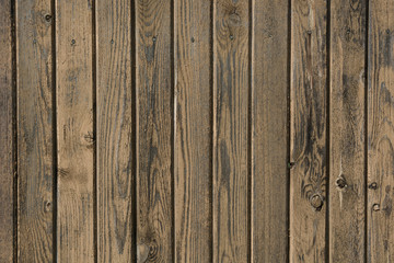 Rustic wood background.