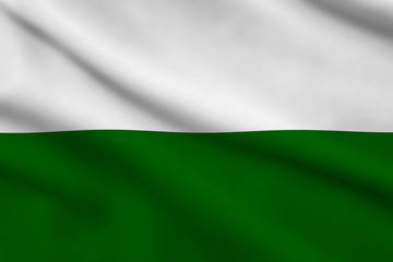 Flag of Saxony, Germany OR Styria, Austria