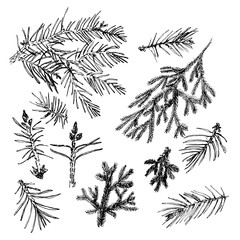 Collection with needles.