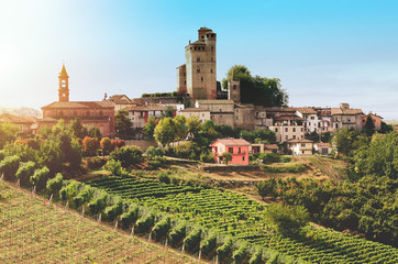 Medieval castle and vineyard
