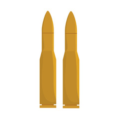 bullet ammunition firearm