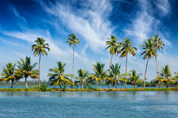 Naklejka premium Kerala backwaters with palms