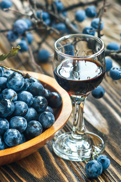 Sloe gin. Glass of blackthorn homemade light sweet reddish-brown liquid. Sloe-flavoured liqueur or wine decorated with fresh juicy ripe prunus spinosa berries on wooden background. Selective focus